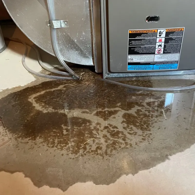 Pipe Burst and Leak Restoration in Candia, NH